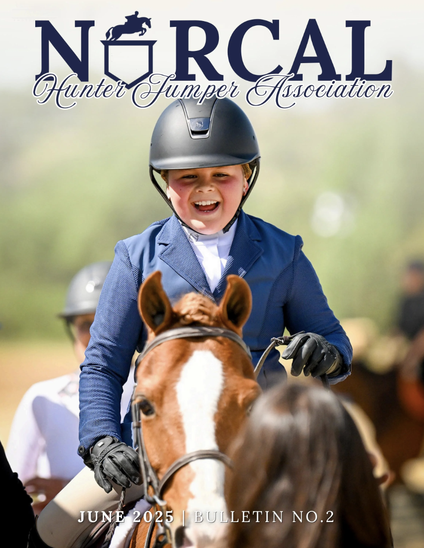 Child patting chestnut pony with huge smile.