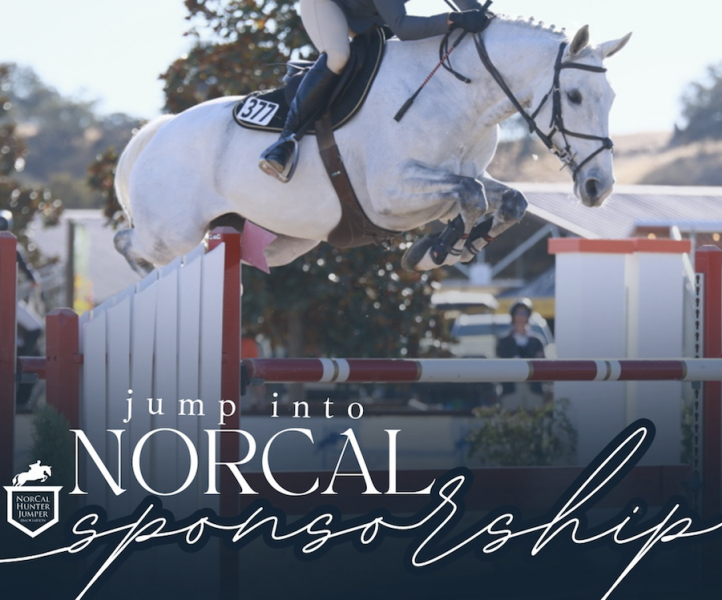 White horse jumping an oxer.